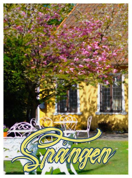 Spangens Gaestgivaregard Inn Ljungbyhed Ngoại thất bức ảnh